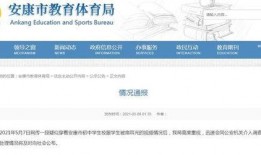 陕西爆料最新消息视频,视频揭露惊人内幕，揭秘事件真相