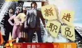 新进职员在线观看,职场新人初体验全记录